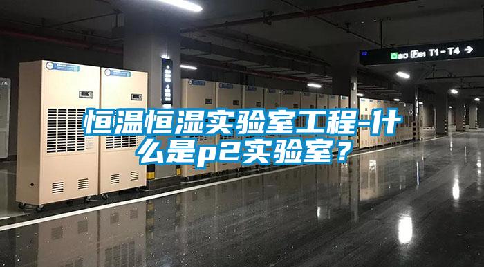 恒温恒湿实验室工程-什么是p2实验室？