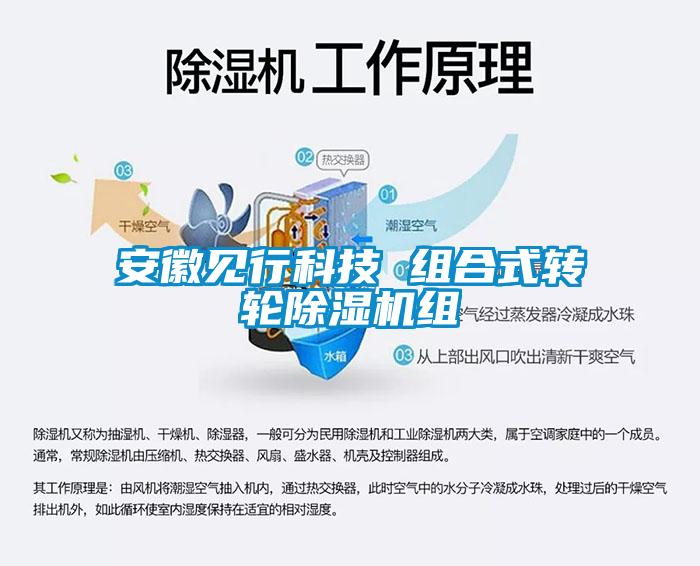 安徽见行科技 组合式转轮麻豆视频黄网站组