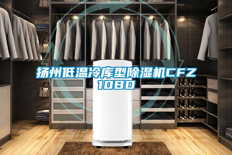 扬州低温冷库型麻豆视频黄网站CFZ10BD