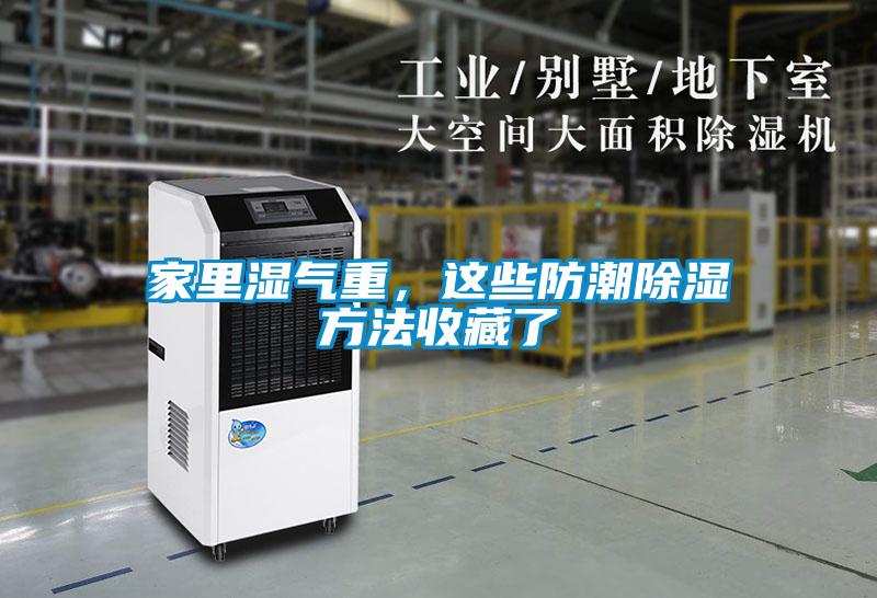 家里湿气重，这些防潮除湿方法收藏了