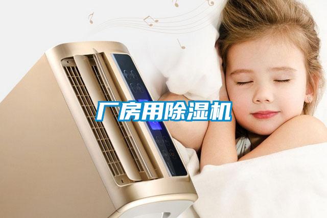 厂房用麻豆视频黄网站