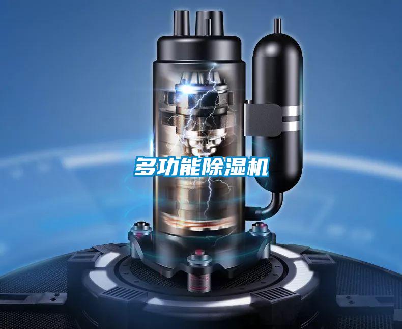 多功能麻豆视频黄网站