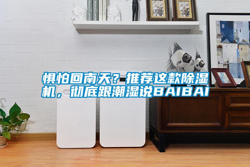 惧怕回南天？推荐这款麻豆视频黄网站，彻底跟潮湿说BAIBAI