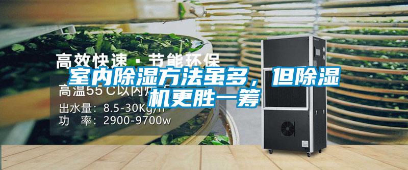 室内除湿方法虽多，但麻豆视频黄网站更胜一筹