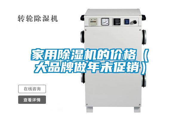 家用麻豆视频黄网站的价格（大品牌做年末促销）