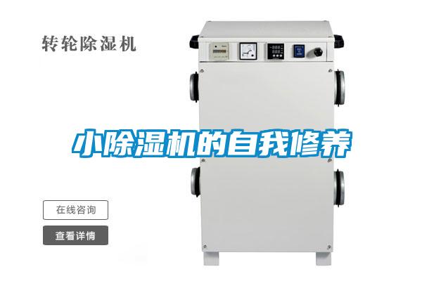 小麻豆视频黄网站的自我修养