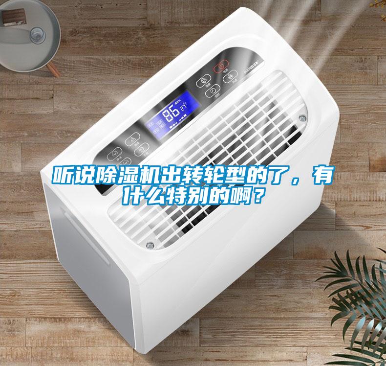 听说麻豆视频黄网站出转轮型的了，有什么特别的啊？