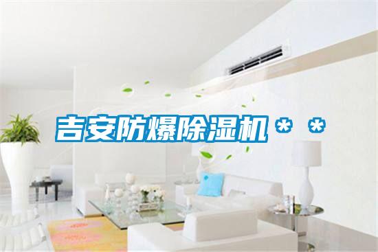 吉安防爆麻豆视频黄网站＊＊