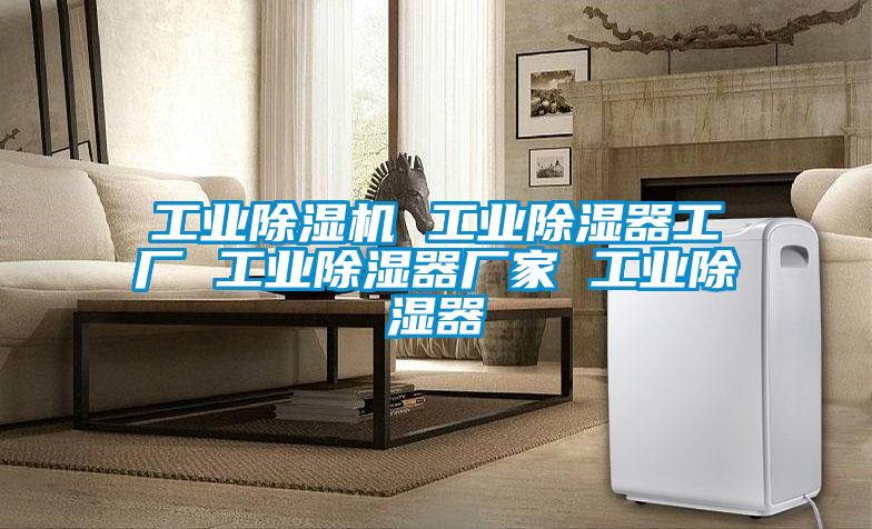 工业麻豆视频黄网站 工业除湿器工厂 工业除湿器厂家 工业除湿器