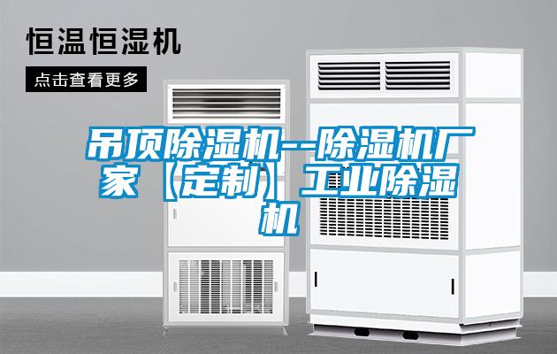 吊顶麻豆视频黄网站--麻豆视频黄网站厂家【定制】工业麻豆视频黄网站