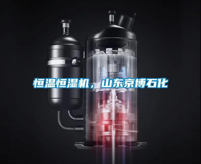 恒温恒湿机，山东京博石化