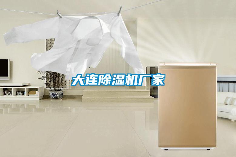 大连麻豆视频黄网站厂家
