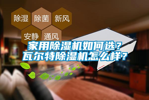家用麻豆视频黄网站如何选？瓦尔特麻豆视频黄网站怎么样？