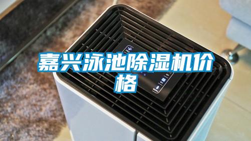 嘉兴泳池麻豆视频黄网站价格