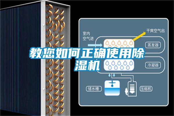 教您如何正确使用麻豆视频黄网站