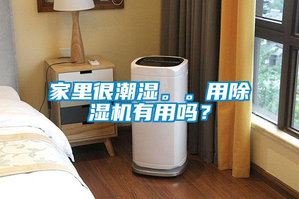家里很潮湿。。用麻豆视频黄网站有用吗？