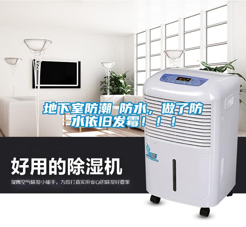 地下室防潮≠防水，做了防水依旧发霉！！！