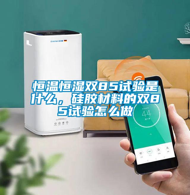 恒温恒湿双85试验是什么，硅胶材料的双85试验怎么做
