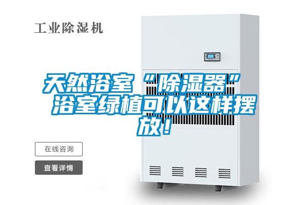 天然浴室“除湿器” 浴室绿植可以这样摆放！
