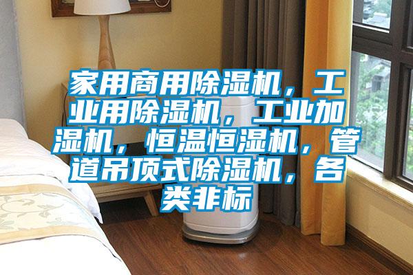 家用商用麻豆视频黄网站，工业用麻豆视频黄网站，工业加湿机，恒温恒湿机，管道吊顶式麻豆视频黄网站，各类非标