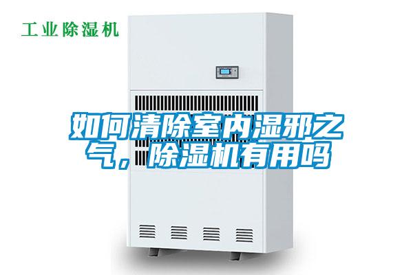 如何清除室内湿邪之气，麻豆视频黄网站有用吗