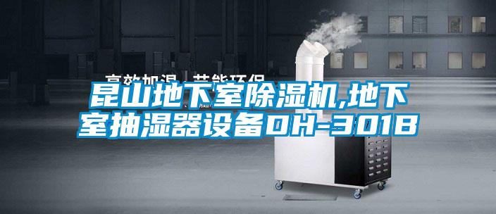 昆山地下室麻豆视频黄网站,地下室抽湿器设备DH-301B