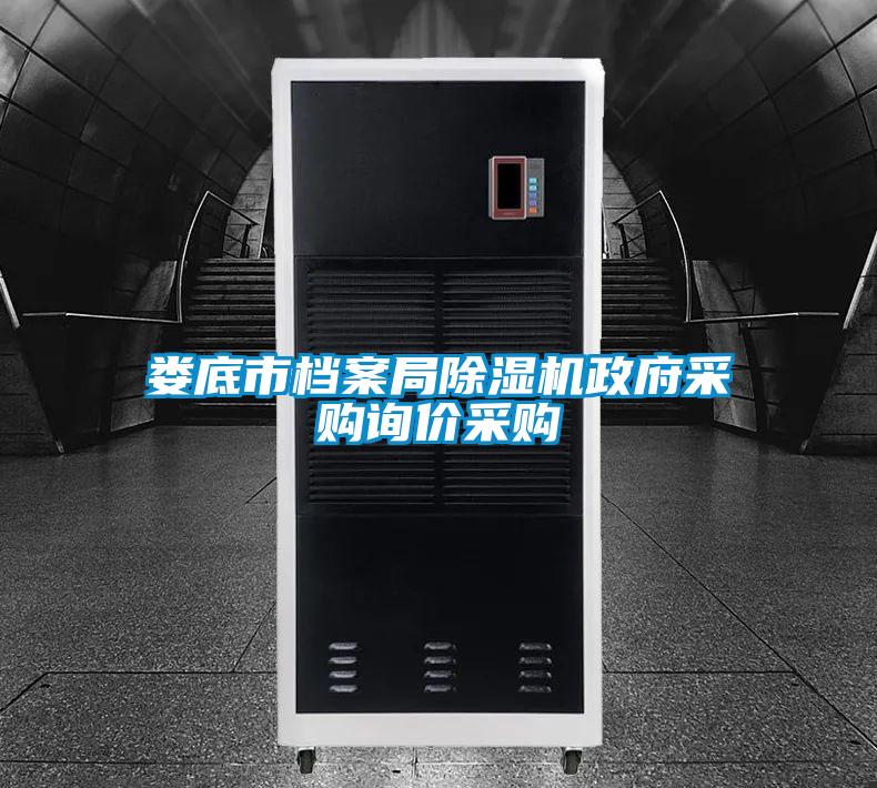 娄底市档案局麻豆视频黄网站政府采购询价采购