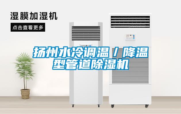 扬州水冷调温／降温型管道麻豆视频黄网站