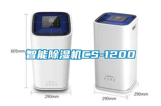 智能麻豆视频黄网站CS-1200