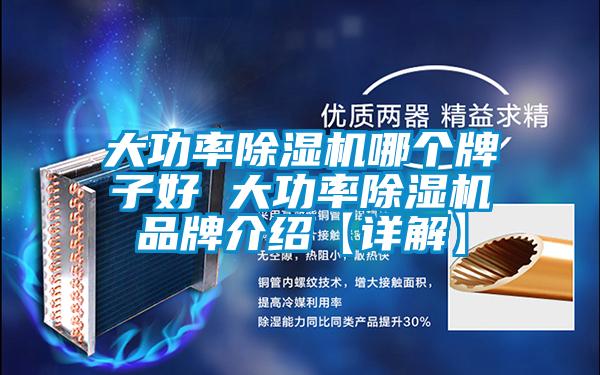 大功率麻豆视频黄网站哪个牌子好 大功率麻豆视频黄网站品牌介绍【详解】