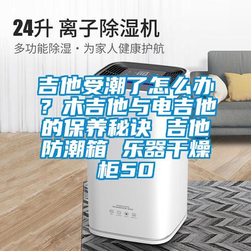 吉他受潮了怎么办？木吉他与电吉他的保养秘诀 吉他防潮箱 乐器干燥柜50
