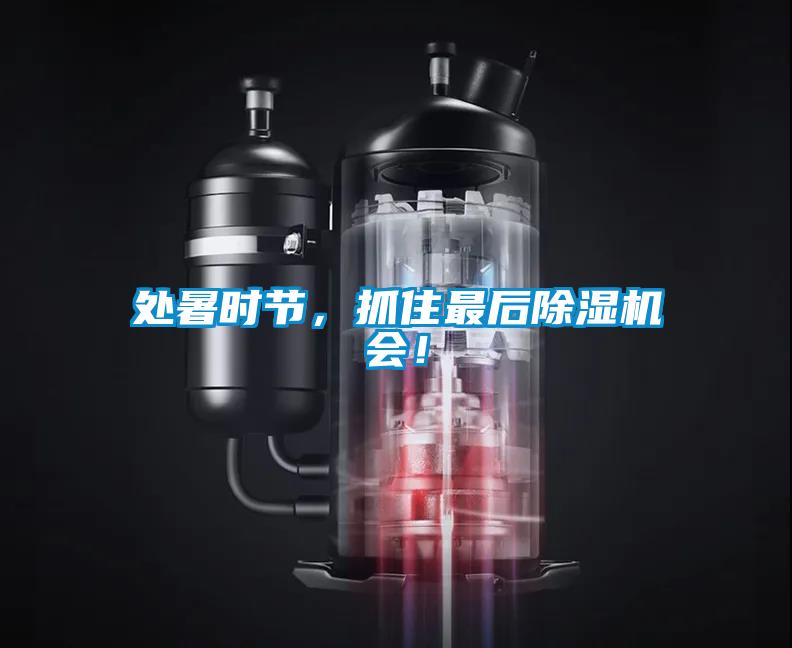 处暑时节，抓住最后麻豆视频黄网站会！