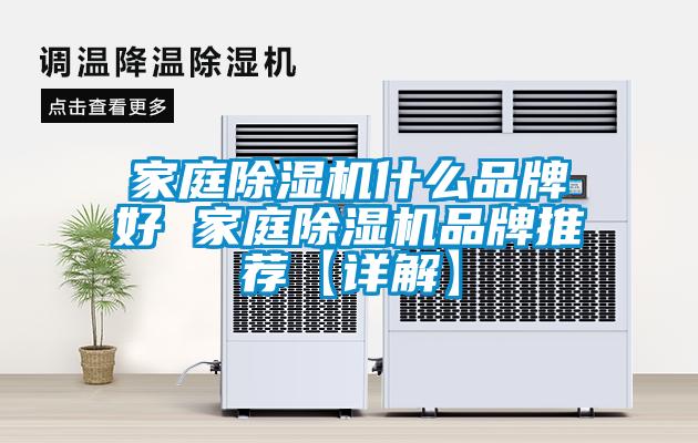 家庭麻豆视频黄网站什么品牌好 家庭麻豆视频黄网站品牌推荐【详解】