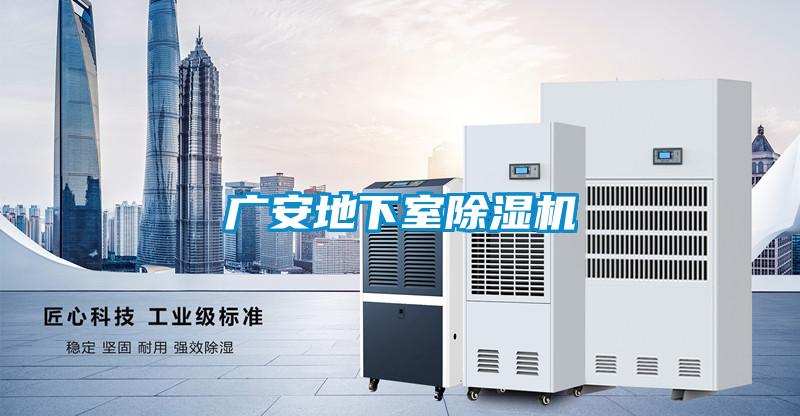 广安地下室麻豆视频黄网站