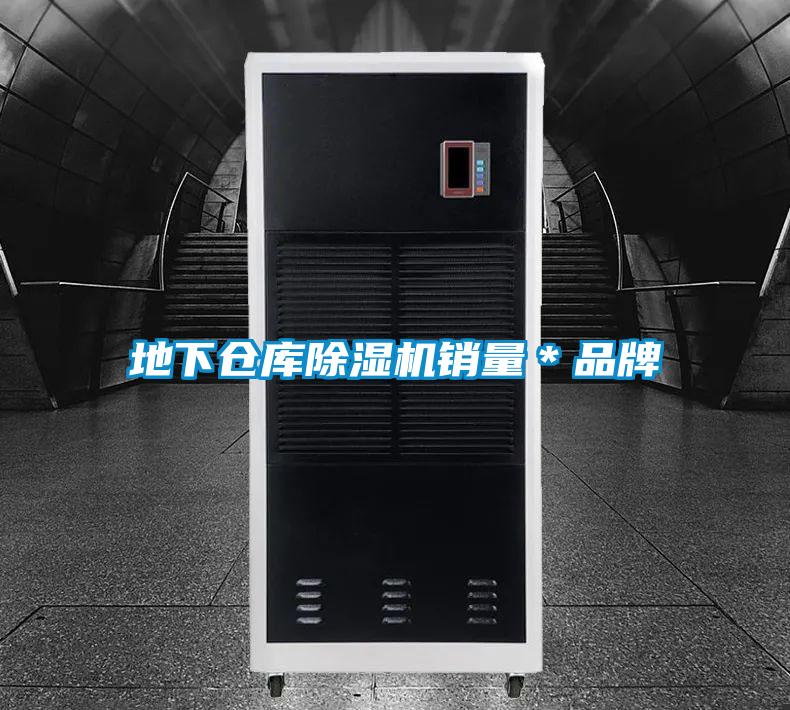 地下仓库麻豆视频黄网站销量＊品牌