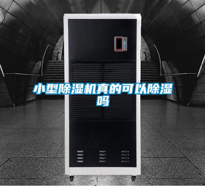 小型麻豆视频黄网站真的可以除湿吗
