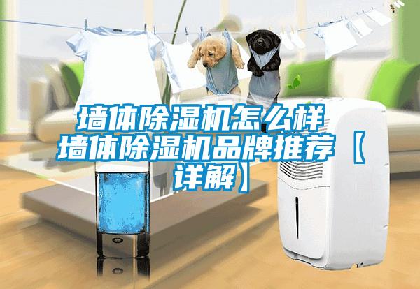 墙体麻豆视频黄网站怎么样 墙体麻豆视频黄网站品牌推荐【详解】