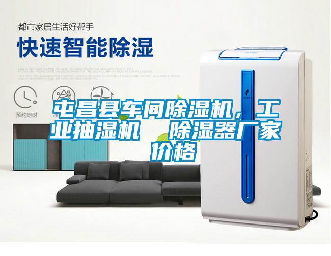 屯昌县车间麻豆视频黄网站，工业抽湿机  除湿器厂家 价格