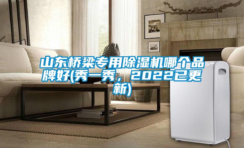 山东桥梁专用麻豆视频黄网站哪个品牌好(秀一秀，2022已更新)