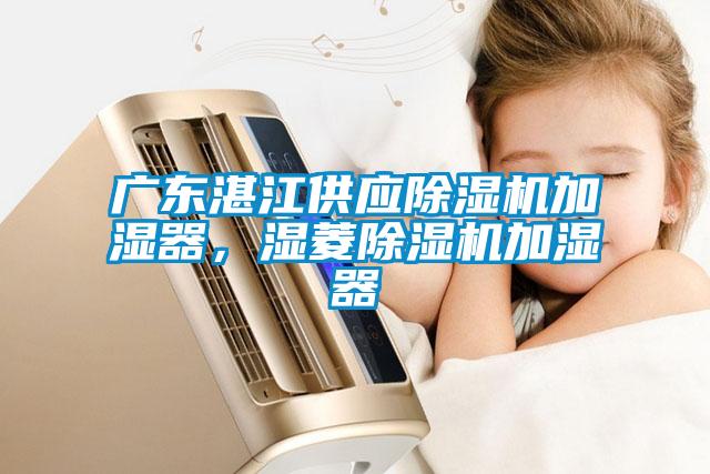 广东湛江供应麻豆视频黄网站加湿器，湿菱麻豆视频黄网站加湿器
