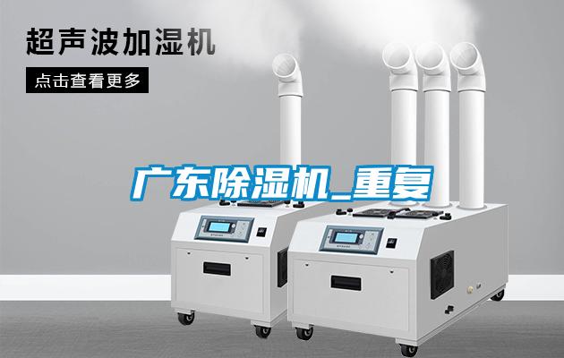 广东麻豆视频黄网站_重复