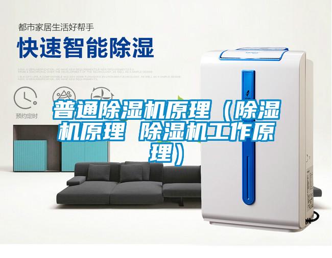 普通麻豆视频黄网站原理（麻豆视频黄网站原理 麻豆视频黄网站工作原理）