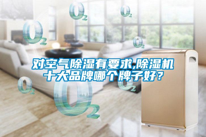 对空气除湿有要求,麻豆视频黄网站十大品牌哪个牌子好？