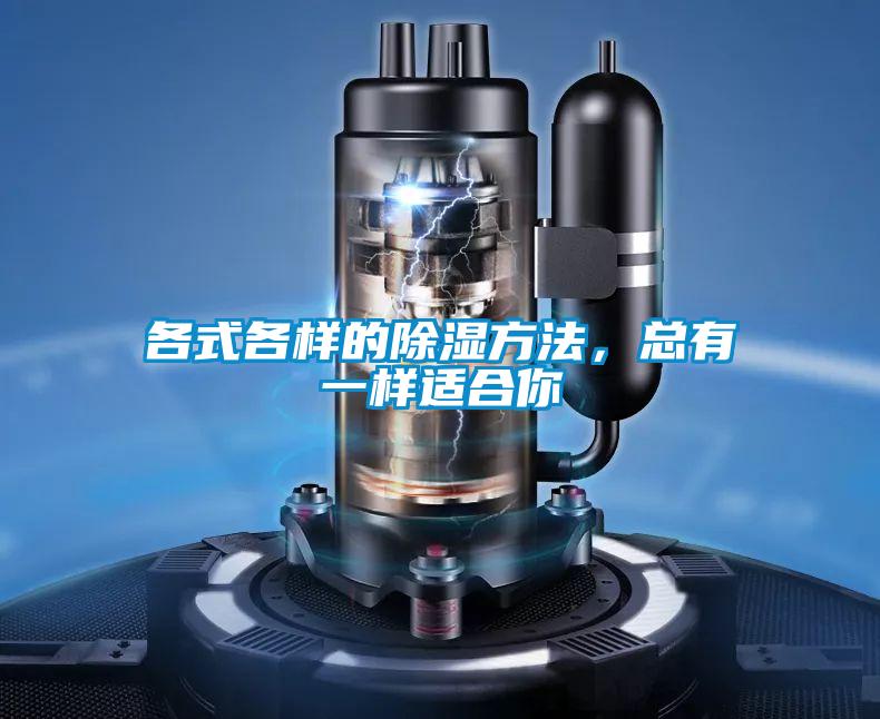各式各样的除湿方法，总有一样适合你