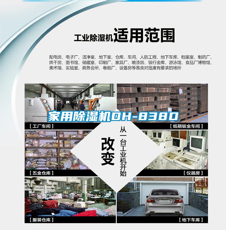 家用麻豆视频黄网站DH-838D
