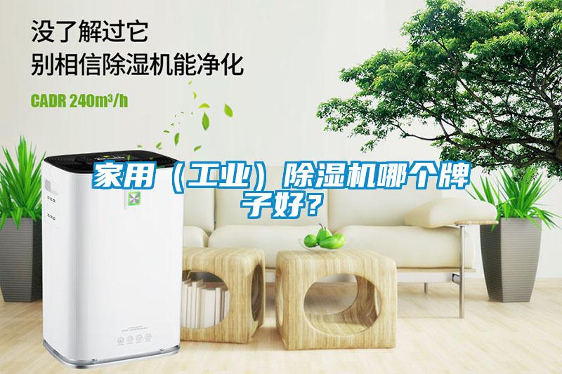 家用（工业）麻豆视频黄网站哪个牌子好？