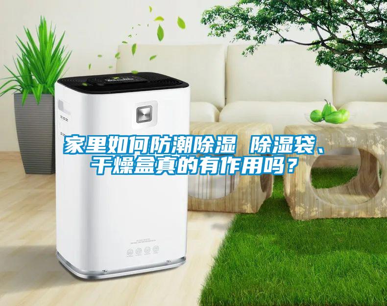 家里如何防潮除湿 除湿袋、干燥盒真的有作用吗？
