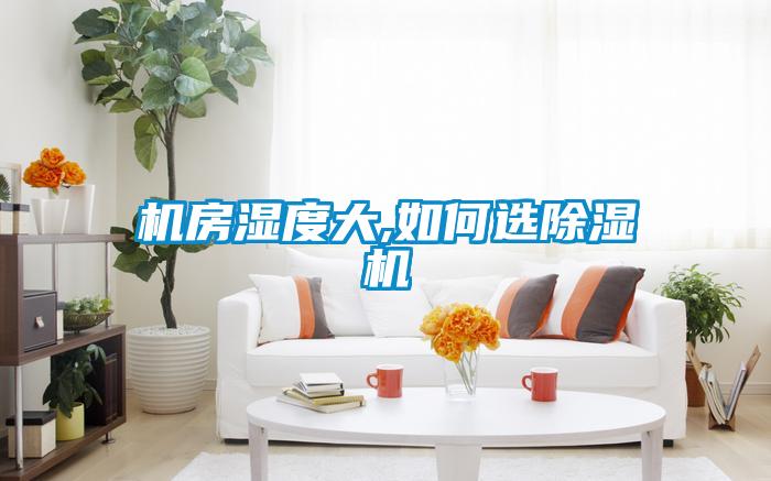 机房湿度大,如何选麻豆视频黄网站