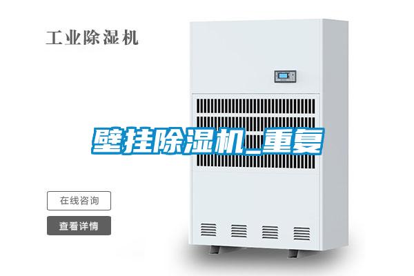 壁挂麻豆视频黄网站_重复