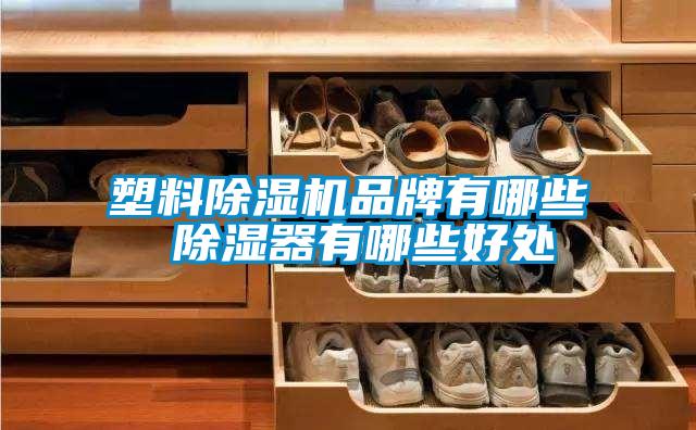 塑料麻豆视频黄网站品牌有哪些 除湿器有哪些好处